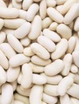 Cannellini Beans 500 gram