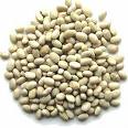 Haricot Beans 1000 gram