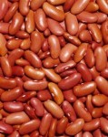 Red Kidney Beans 500 gram
