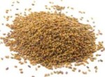 Alfalfa Seed 50 gram