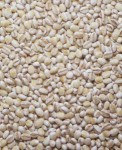 Barley / Jali-jali 500 gram