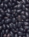 Black Turtle Bean 500 gram