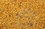 Organik Flaxseed Golden 500 gram