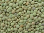 Green Lentils 1000 gram