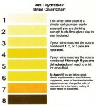 Am I hydrated? Urine color chart