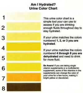 Urine chart