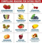 Fruit Benefit part 2