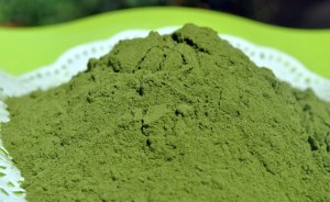 Katuk Leaf Powder 50 gr