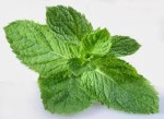 Mint ( daun ) serbuk / Mint Leaf Powder 50g